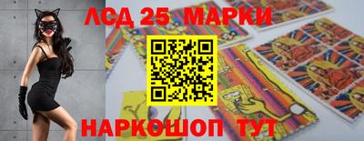 гидропоника Кунгур