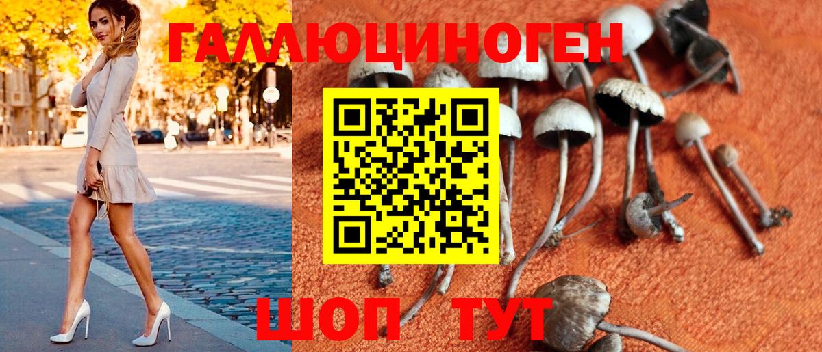 Ишим  хочу наркоту  Вход с VPN  Галлюциногенные грибы Magic Shrooms 